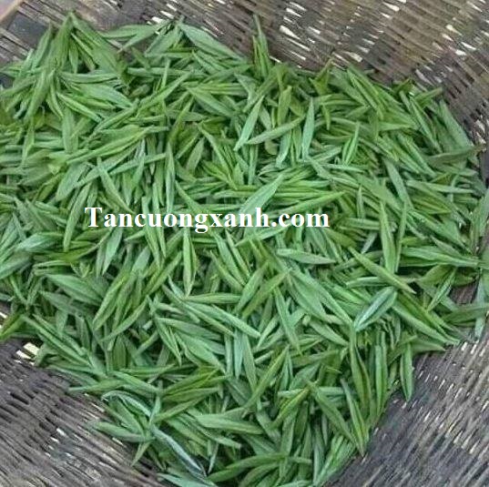 che thai nguyen tan cuong tien vua 1